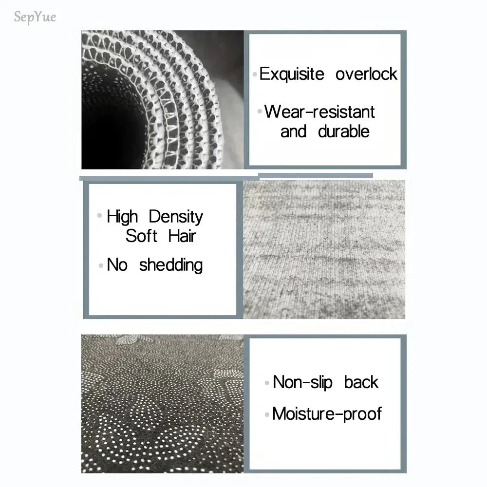 Modern Area Rug Non-Slip Carpet for Living Room and Bedroom