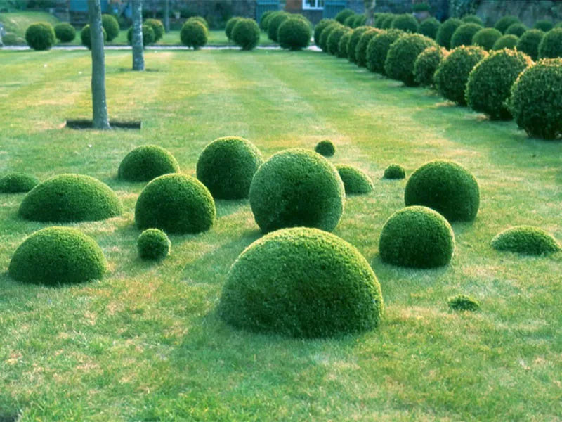 Artificial Grass Synthetic Lawn Outdoor Faux Grass Rug for Patio 0.4 Inch Pile Height 5FTx43FT Astro Turf Grass Roll Carpet Rug